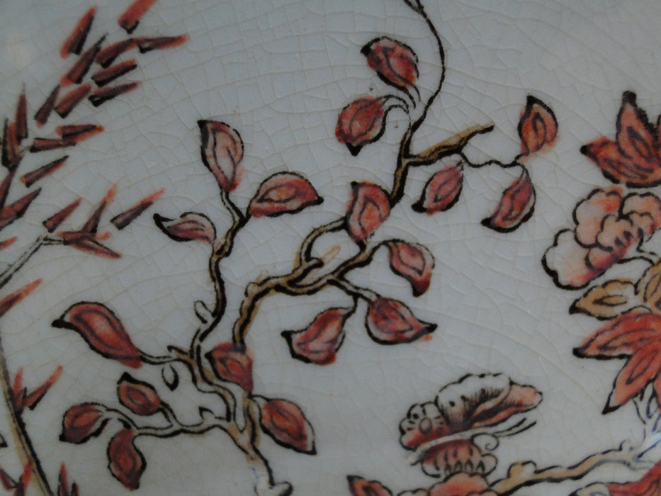 Copeland Spode India Tree Orange Rust: Bread Plate (s), 6 1/2"