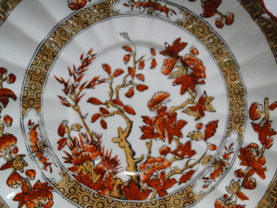 Copeland Spode India Tree Orange Rust: Cup & Saucer Set (s), 2 5/8"